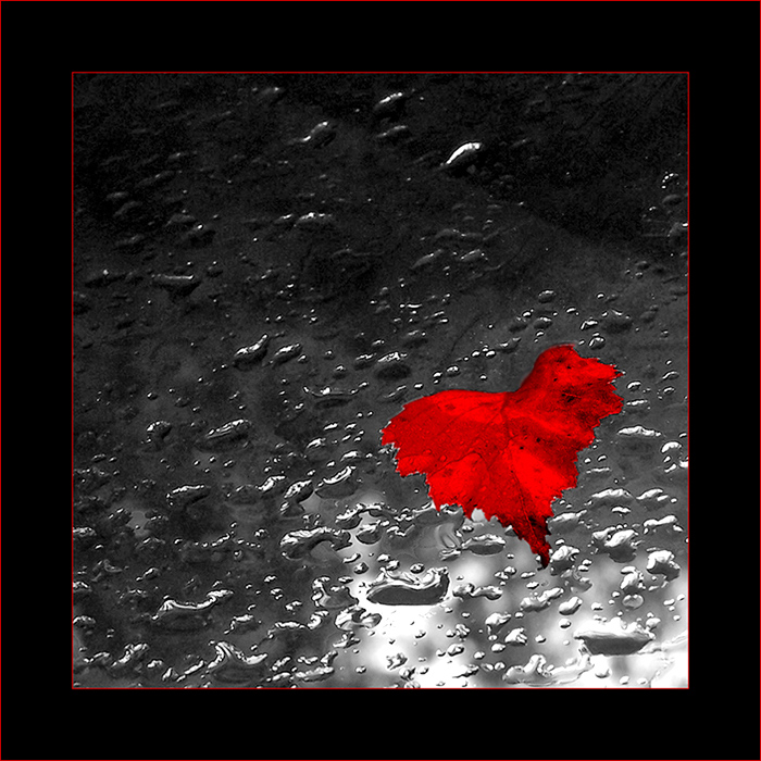 Commentaire Composé Le Rouge Et Le Noir